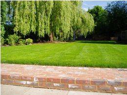 oakhill step and lawn